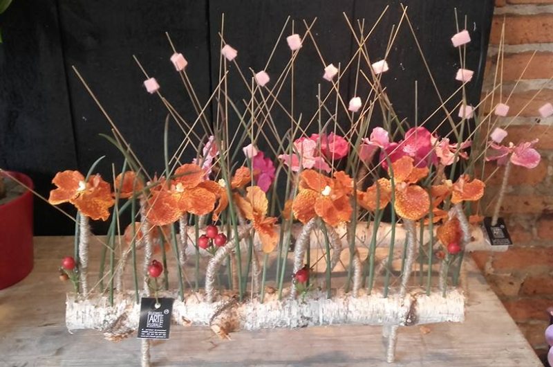 738845-13051637-1084231064969547-8397731517730583809-n