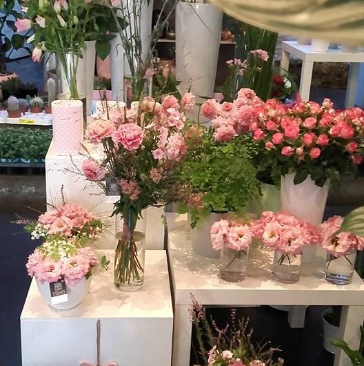 738847-14449894-1207657565960229-7043477044670496536-n