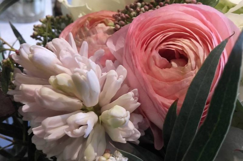 738848-17155165-1369449329781051-5114466293408306687-n