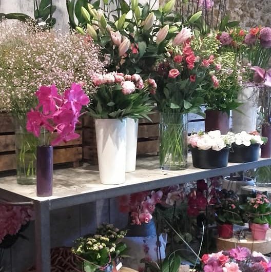 738849-18698123-1450732671652716-5124553037070624598-n