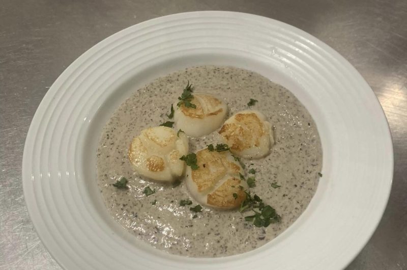 772832-323428010-684714463141047-5844040865834276998-n