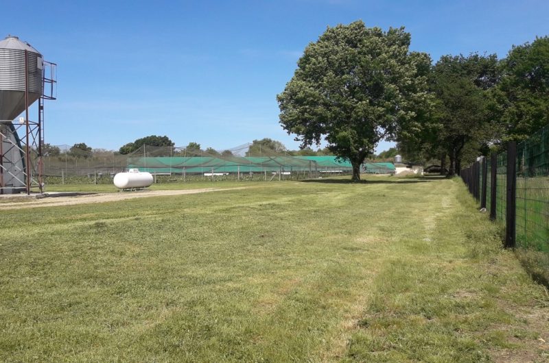 781416-59461036-2038558576255331-5380878037954854912-n