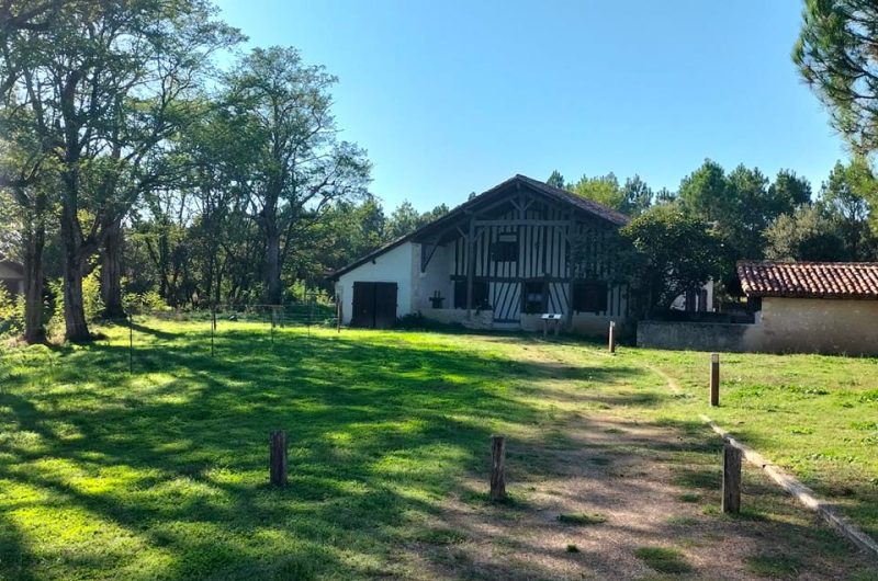 828497-bergerie-anais-3