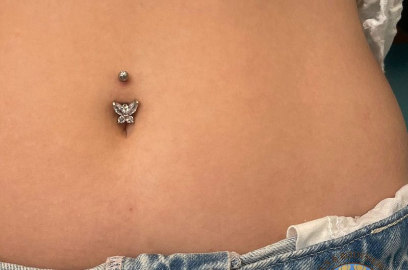 830768-nombril-papillon-acier