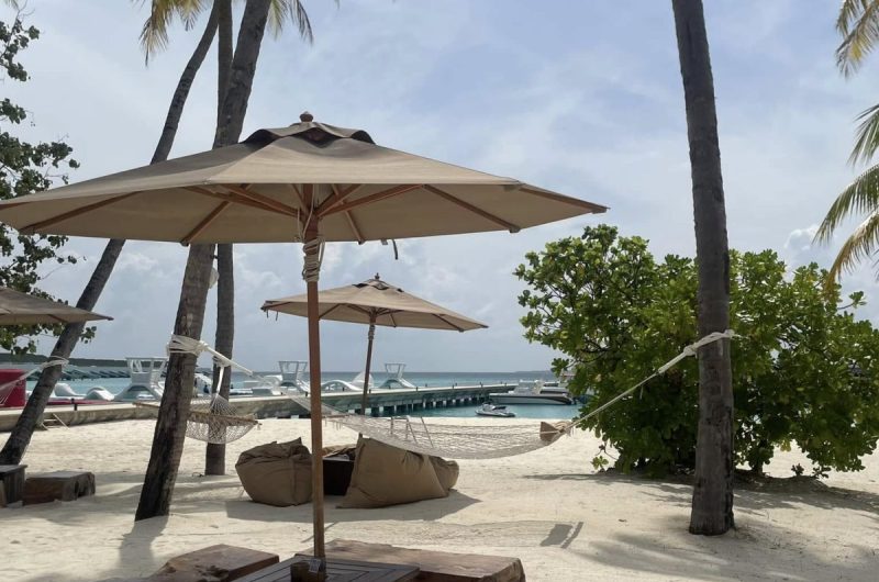 841909-448319562-994176639384348-8466829671676315866-n