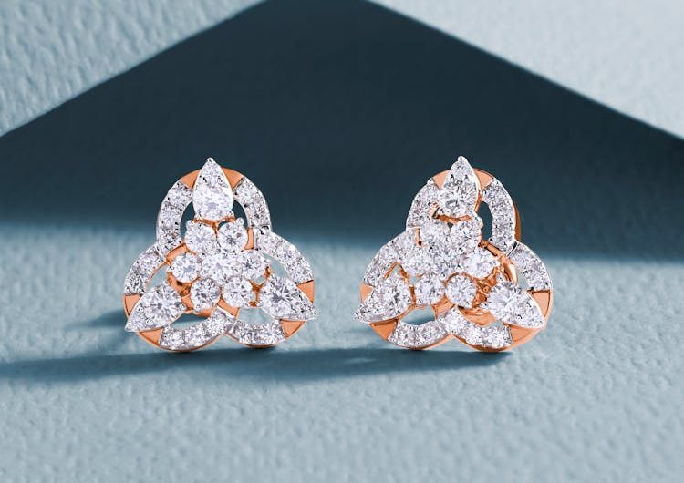 842665-pexels-photo-10976654