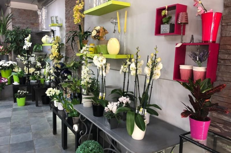 842714-5d358231d70000c300e6f5a9