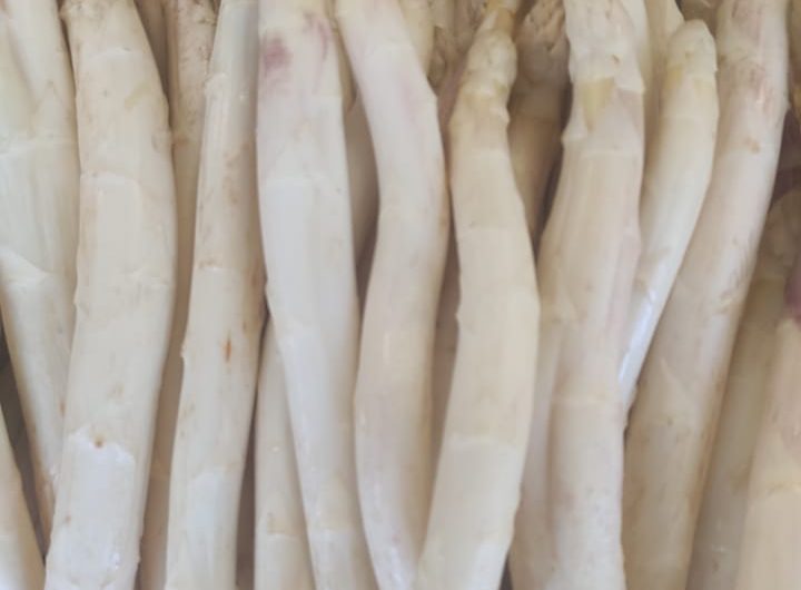 858339-287328777-2095944210579664-1519263302757302906-n