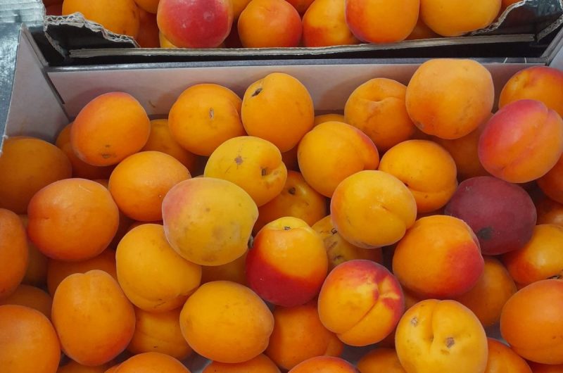 858341-287677424-2101296040044481-1131124178955790024-n