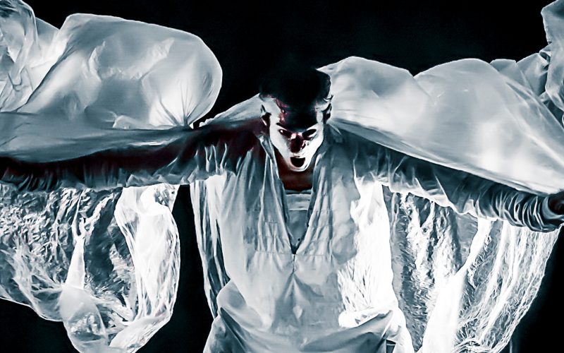 862898-le-delirium-du-papillon-3