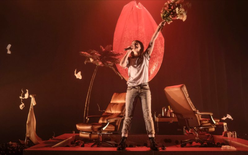 866189-le-poids-des-fourmis-4