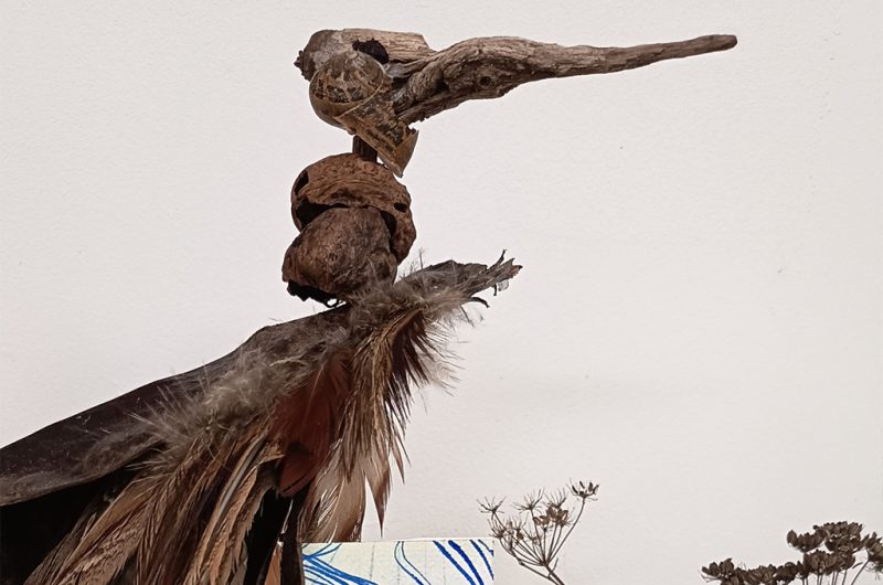 866561-10287365-copie-2