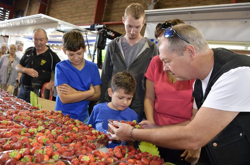 867688-marche-st-roch-gilles-arroyo-12