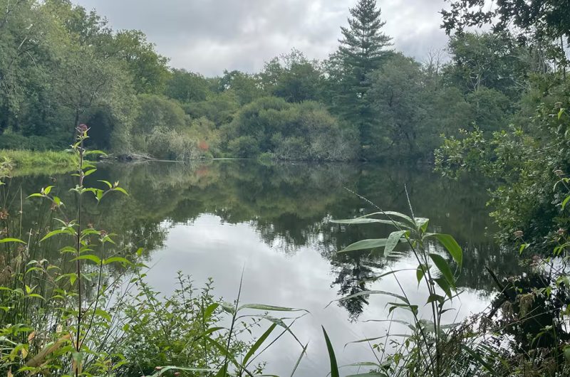 873145-domaine-de-hybere-3