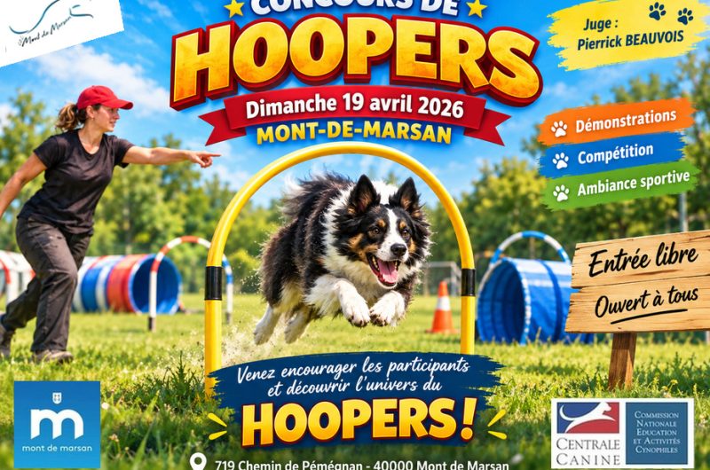 878166-concours-hoopers-926×683