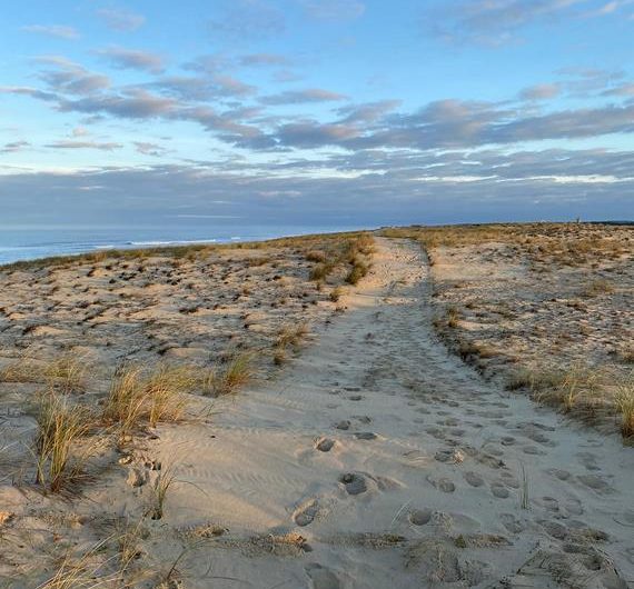 93c61b21-14b0-44ad-afee-7fcb24699bb4 (Copier)