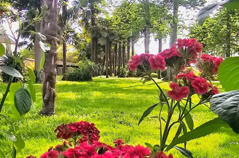 9LE PARC 2025 ©Campana