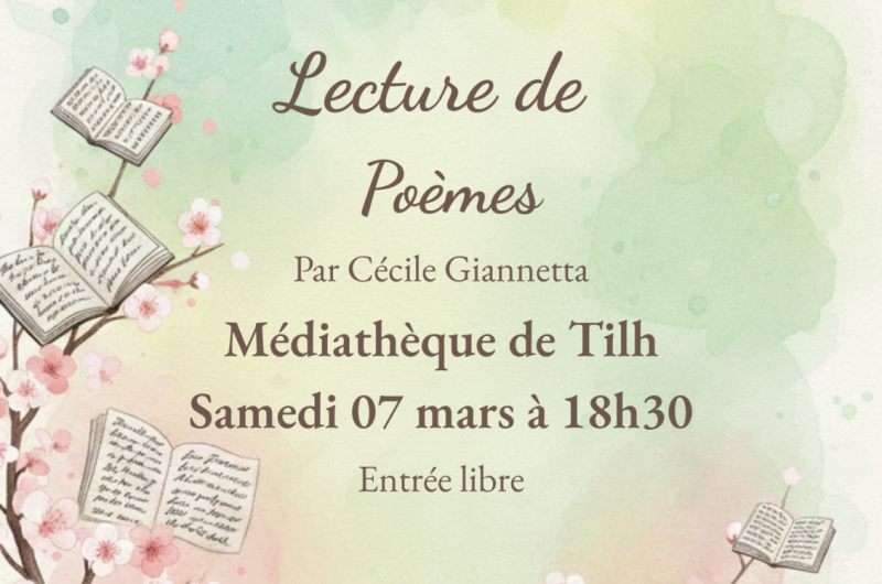 Les mots, ma muse – 1