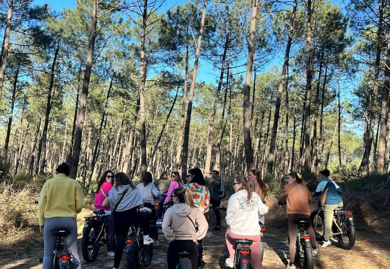 ALL YOU NEED vélos forêt – V2