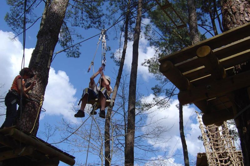 Acrobranches-1-e7c98016e3184444b7047515c01cfec8