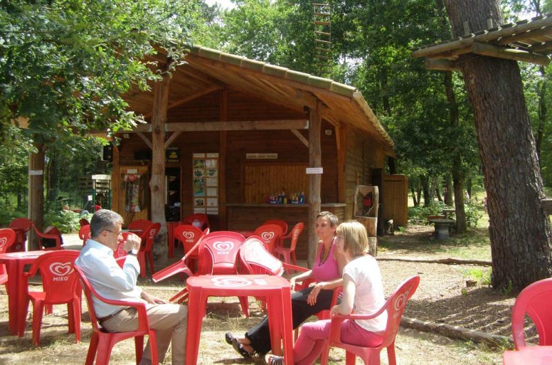 Acrobranches-7-e108489a3bf2454e9c9d1dc1ea2c0a13