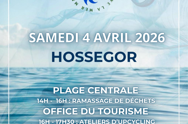 Affiche 2026 Mermaid Day – 1