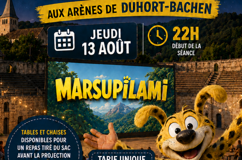 Affiché cinéma 13 août 2026 avec prix