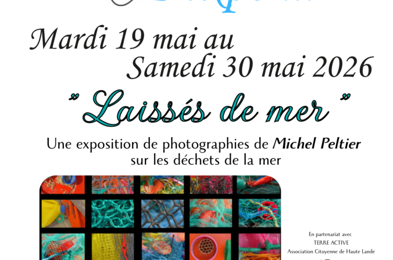 Copie de Copie de Votre texte de paragraphe – 2