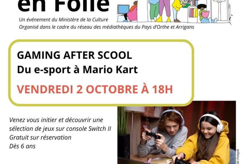 Affiche ludo – 1