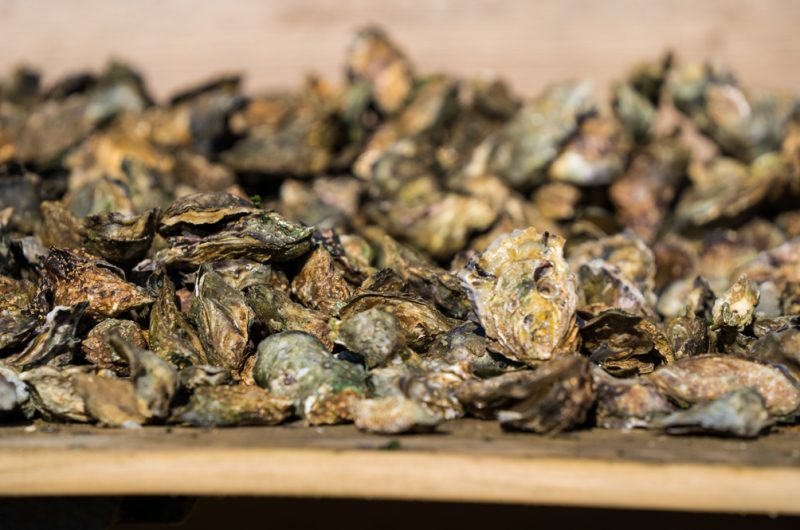 Alexandre Charpentier_huitres