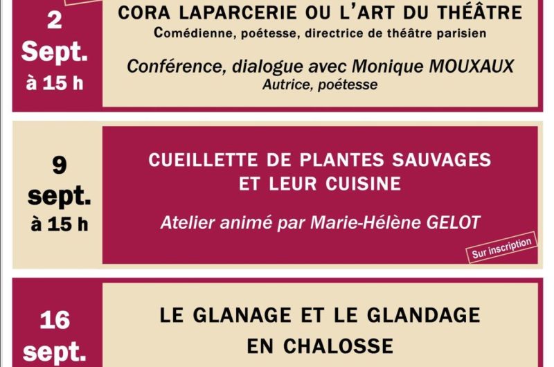 Animations  septembre Les Amis du musée SEPT