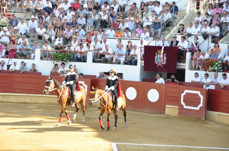 Arenes—novillada-pour-TiS-2