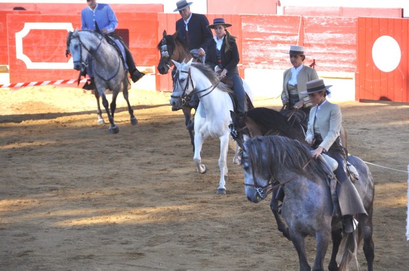 Arenes—spectacle-equestre-pour-TiS