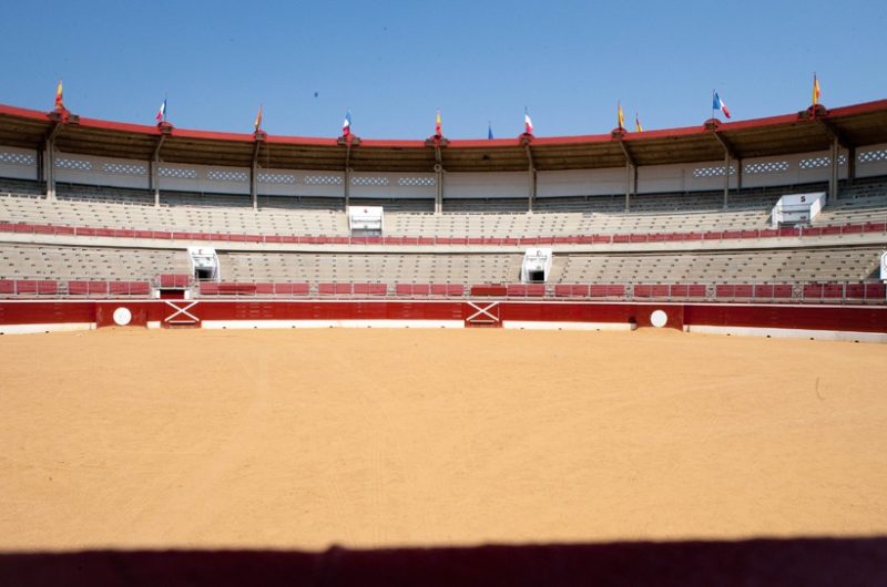 Arenes-12-b7bf3755ca6647b99b0f735e30264500