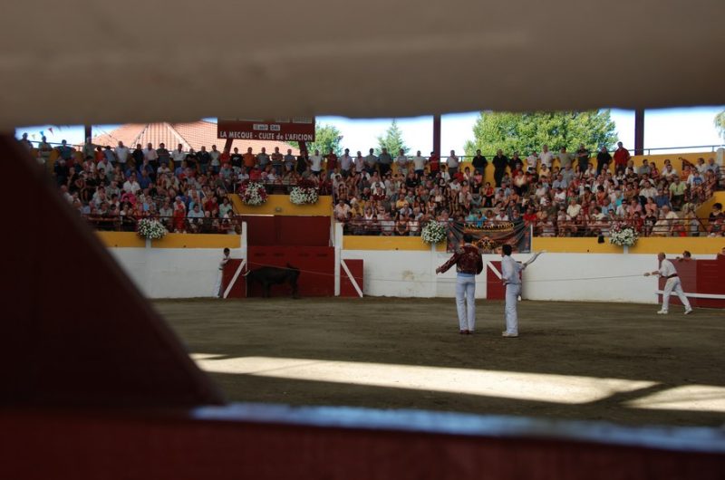 Arènes de Pomarez