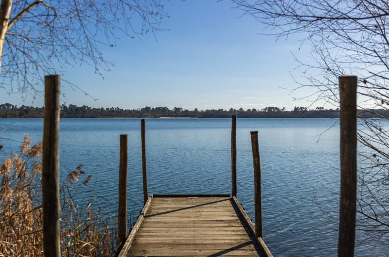 Arjuzanx – site en hiver – ponton @landes attractivité-21
