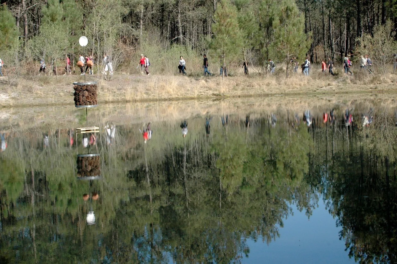 Arue—Lagune-Nabias–15–2