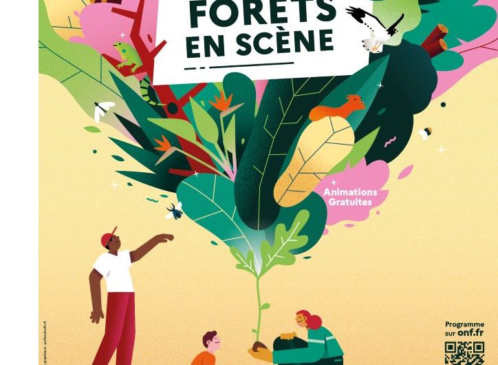 Balade forestiere soustons Journée internationale des forets