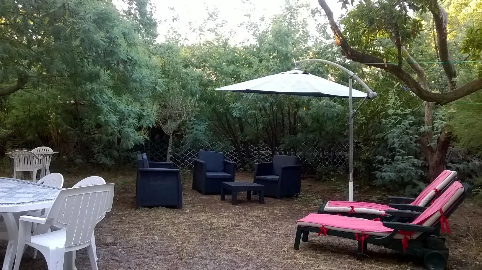 Bazas Delgoulet-meublé-bisca-tesrrasse