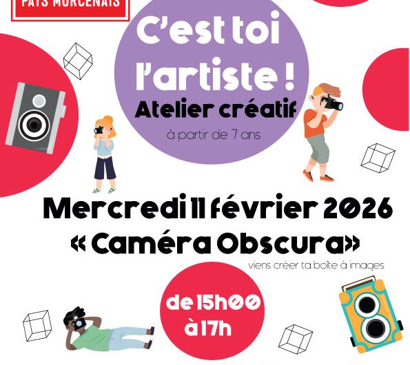 C’est-toi-l’artiste-!-camera-obscura-onesse