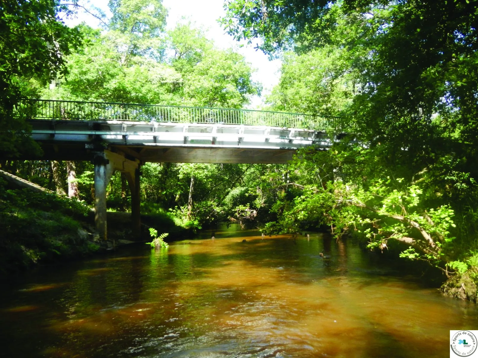 La Leyre : Pont de Richet – Pont de Moustey