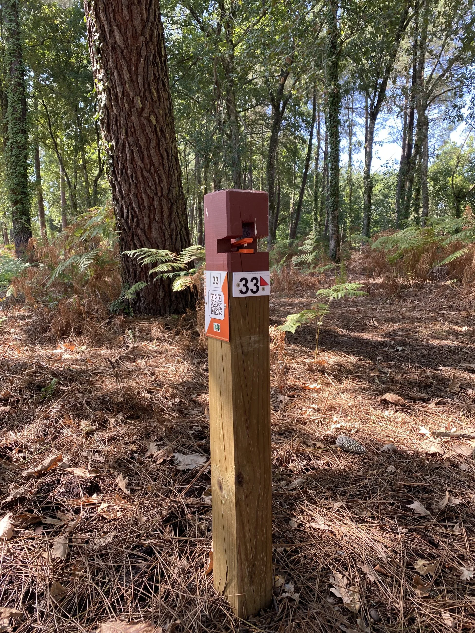 CLNT – TALLER – Piquet Course d’Orientation