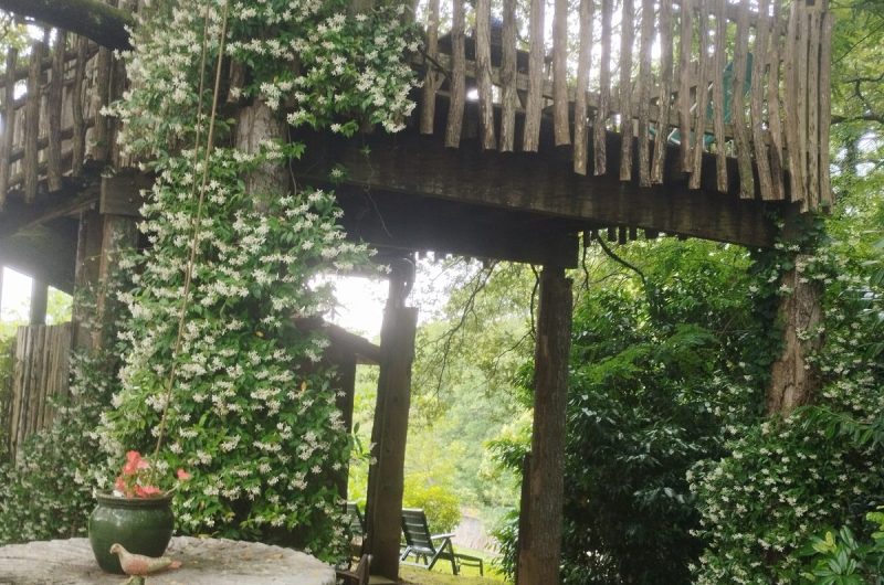 Cabane papyjotte 2025 ©Hayet