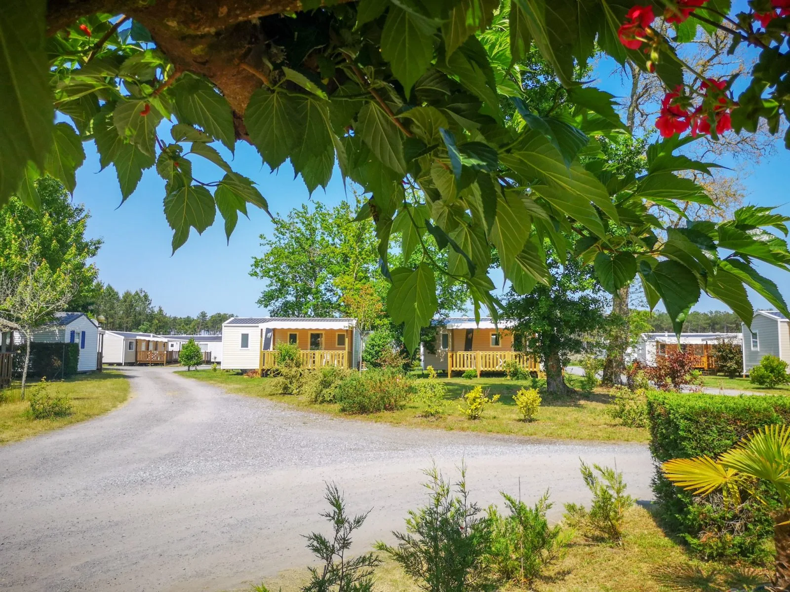 Camping-Azur-Rivage-Landes-atlantique-sud–3–2