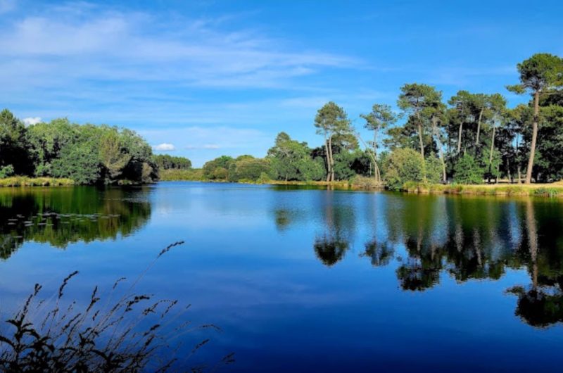Camping des Forges étangl