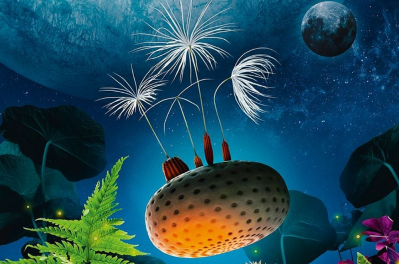 Capture-d-ecran-2026-03-30-151639