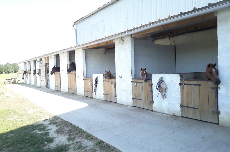Centre équestre La Houn – écuries