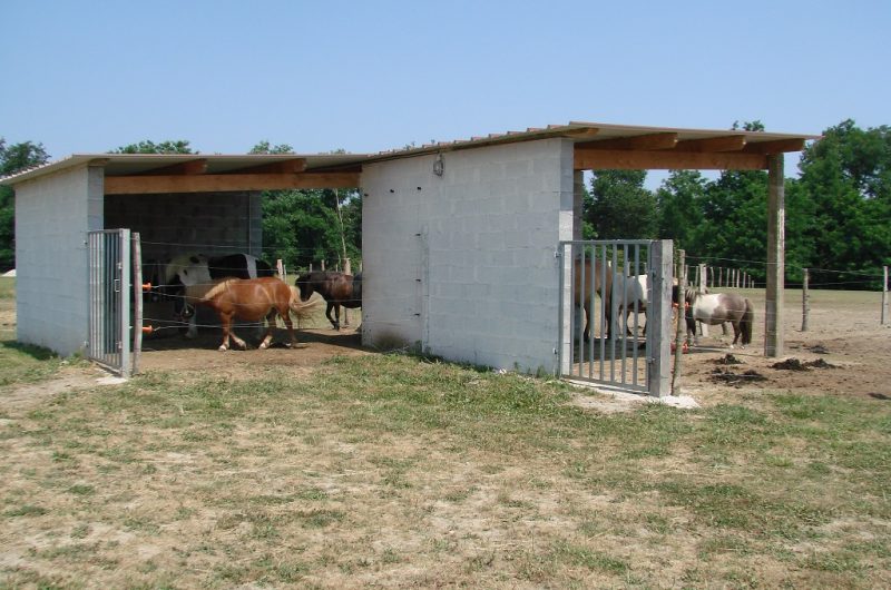 Centre équestre La Houn – poney