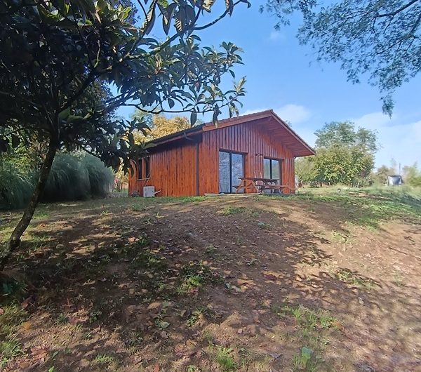 Chalet Mayura (13)