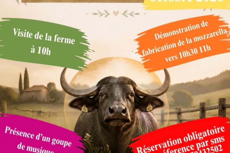 Champ des Buflonnes